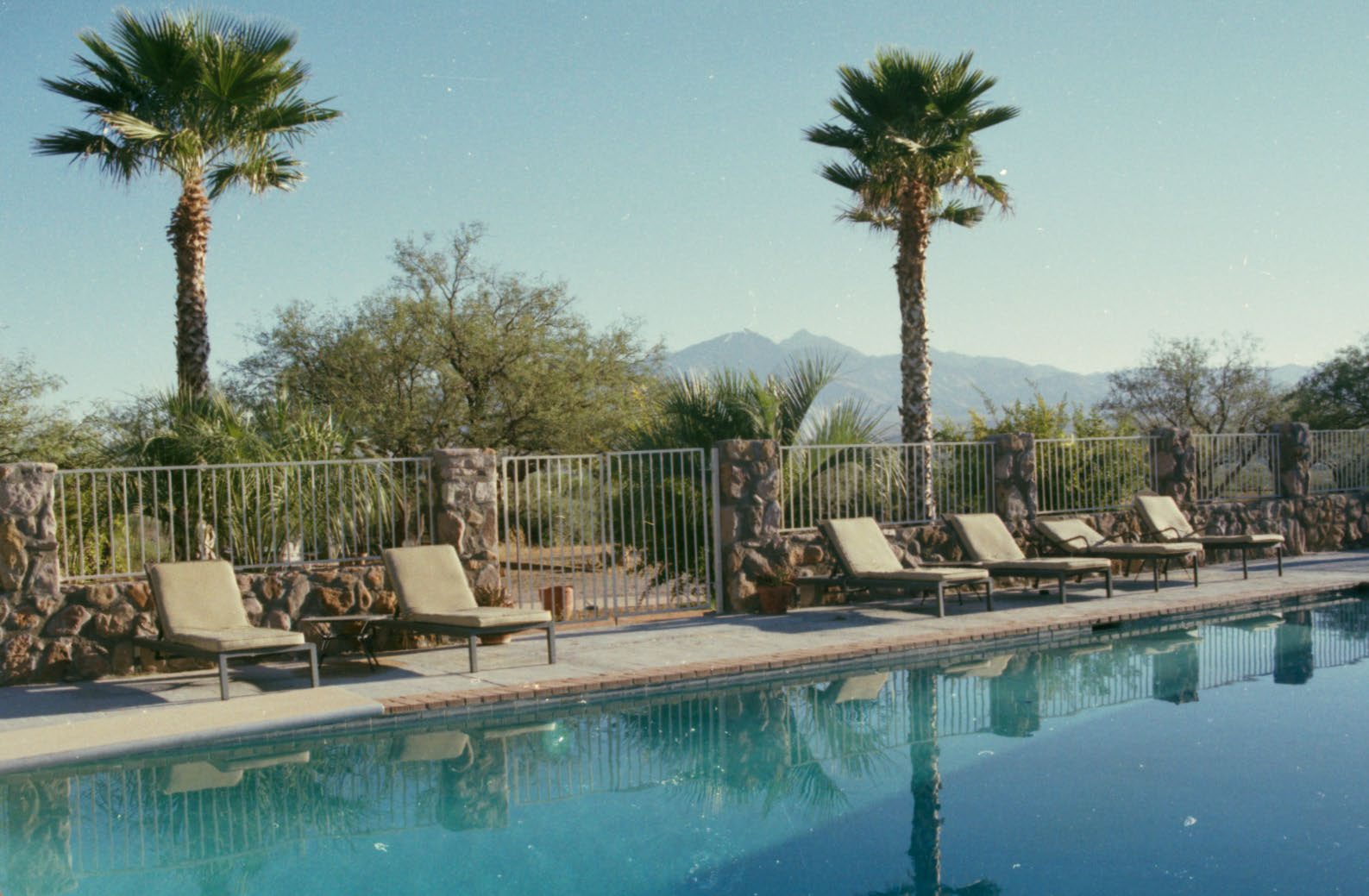 The pool at The Care Ranch with palm trees and mountain views
