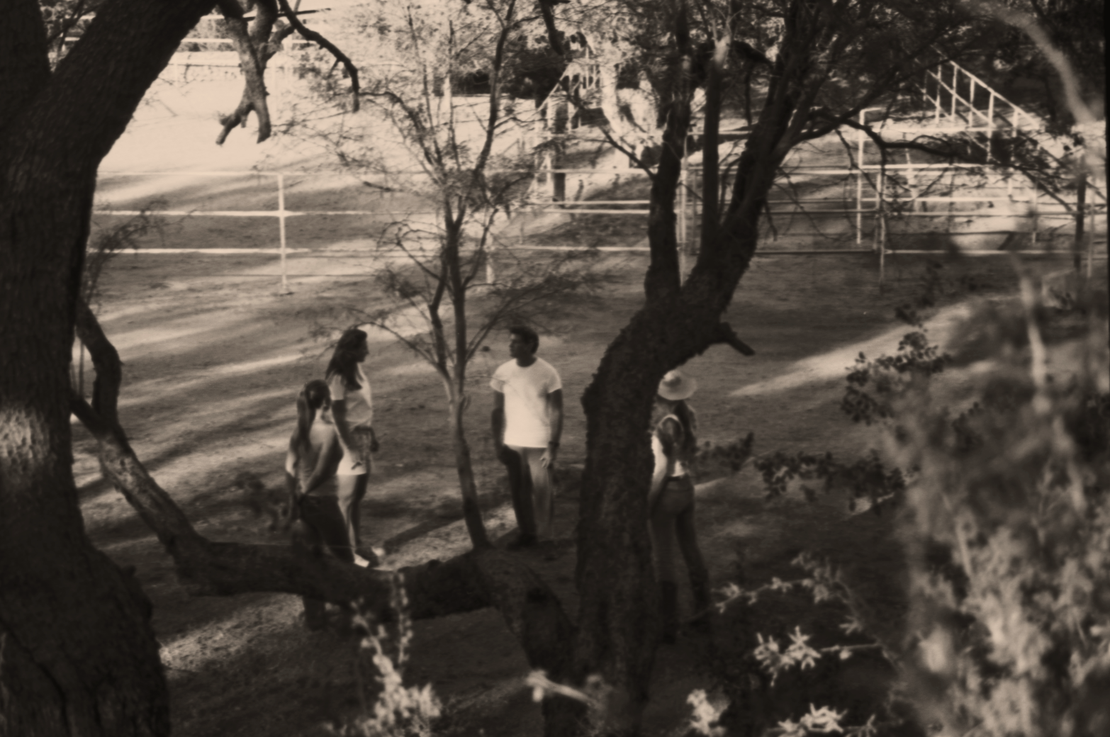 Participants walking through the desert trees